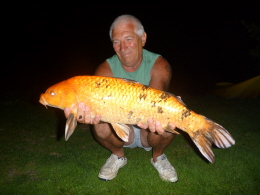 10lb koi carp 12-8-11 time 05 33 005