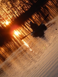 1964319_641976905839671_2105859993_n