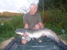 20lb cat fish 004
