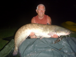 26lb cat 015