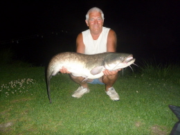 27lb cat 18-8-11 time 22 15 bait cell 003