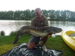 28lb cat 007