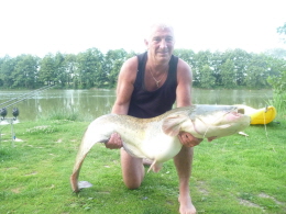 53lb catfish 17-8-11 time 07 44 bait hot ad 005