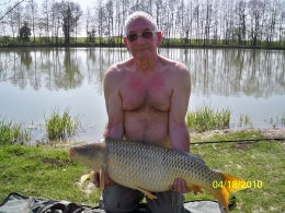 carp 1