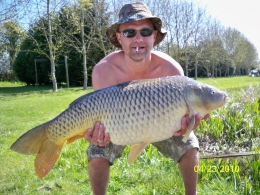 carp 6