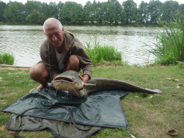 cat 24lb+50lbcat 008