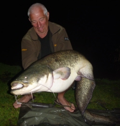 cat fish 47lb 6oz